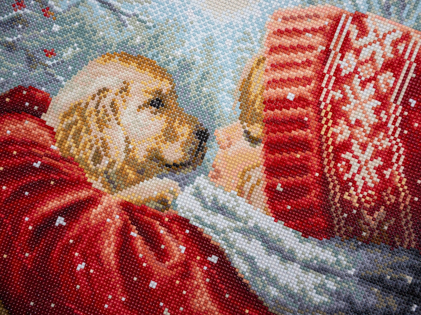 Two dogs in red sweaters sitting together on a snowy ground