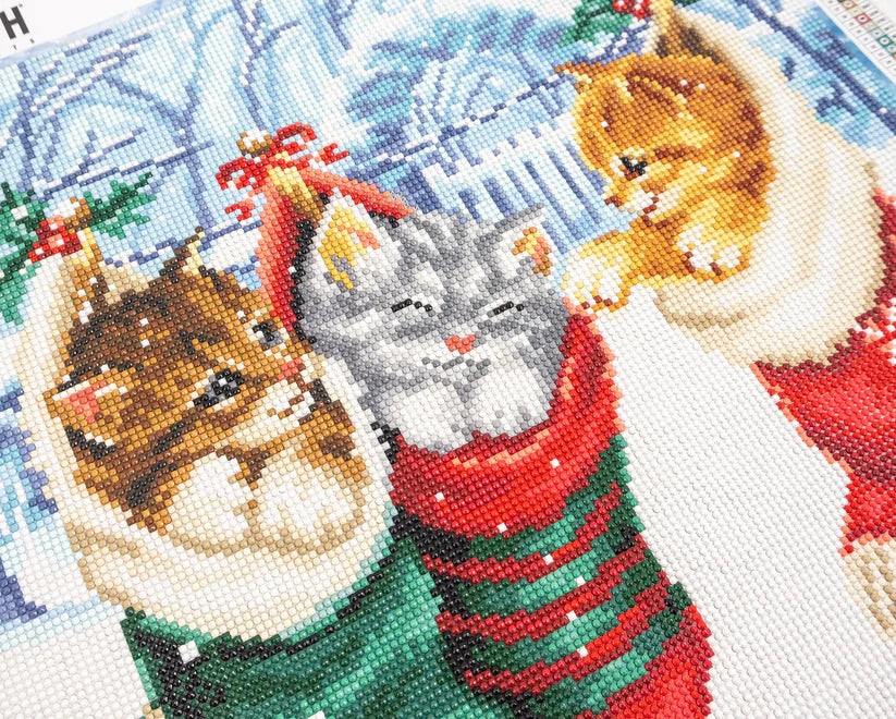 LT 103 Snowy Kittens