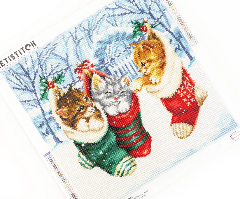 LT 103 Snowy Kittens