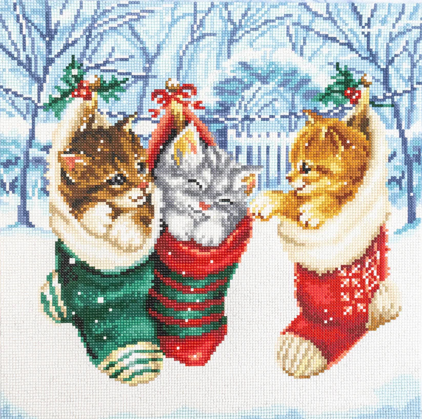 LT 103 Snowy Kittens