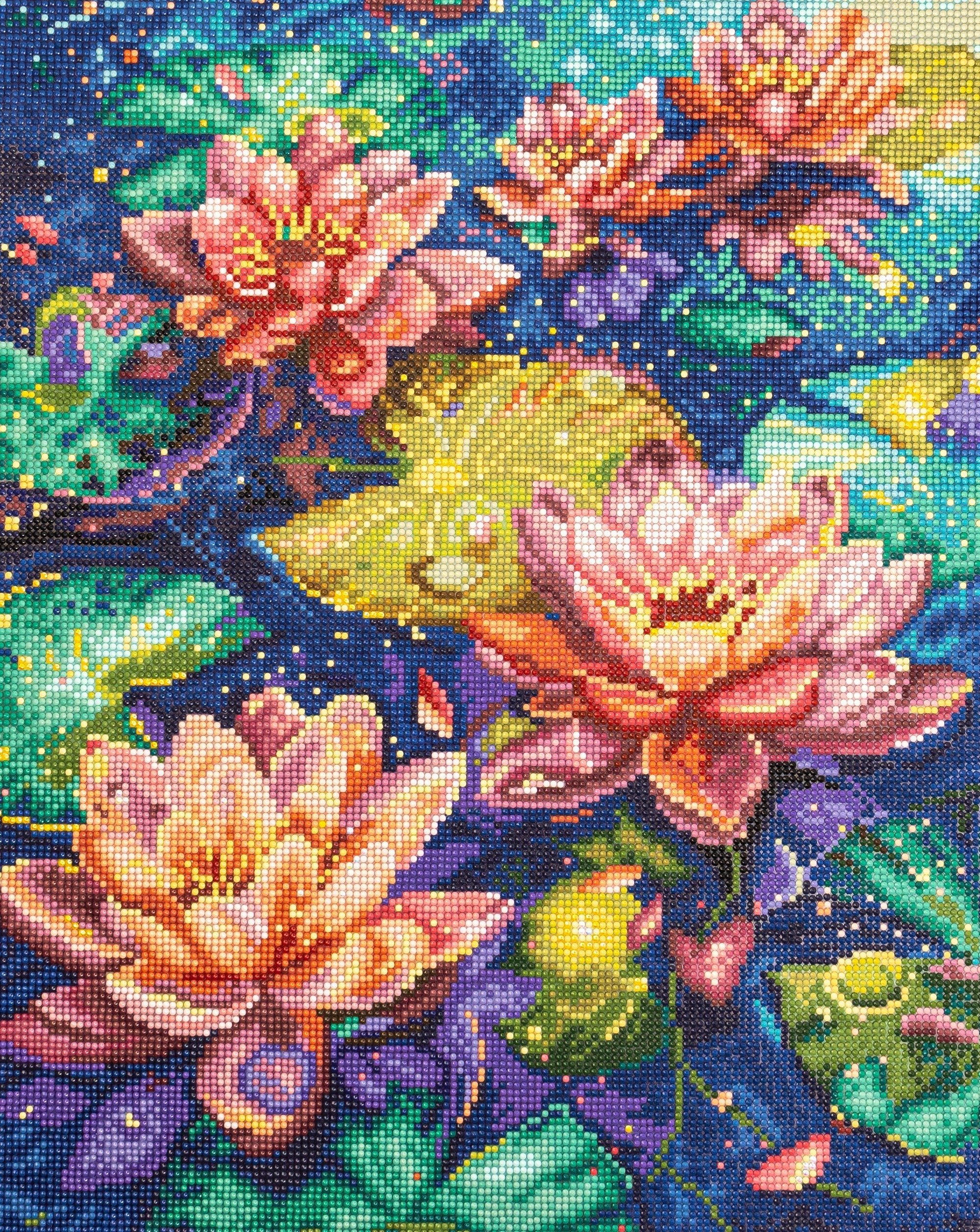 LT21 Water Lily
