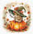 Little Wizard - Cross Stitch Kit AVA P153