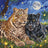 The Night of the Felines - Cross Stitch Kit AVA P160