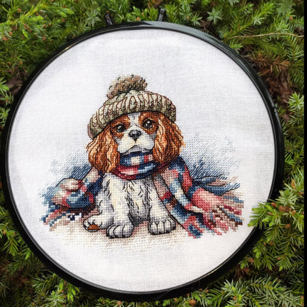 Cavalier King Charles Spaniel - Cross Stitch Kit AVA P037