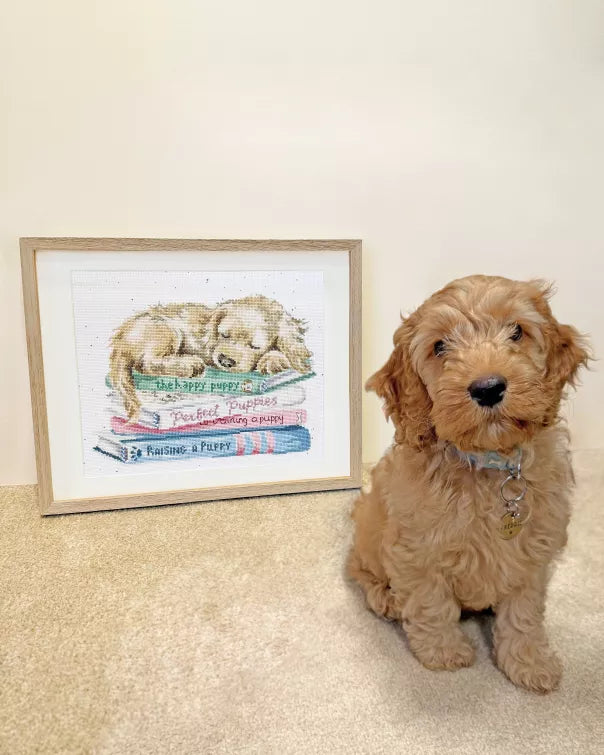 A Pup's Life-XHD153