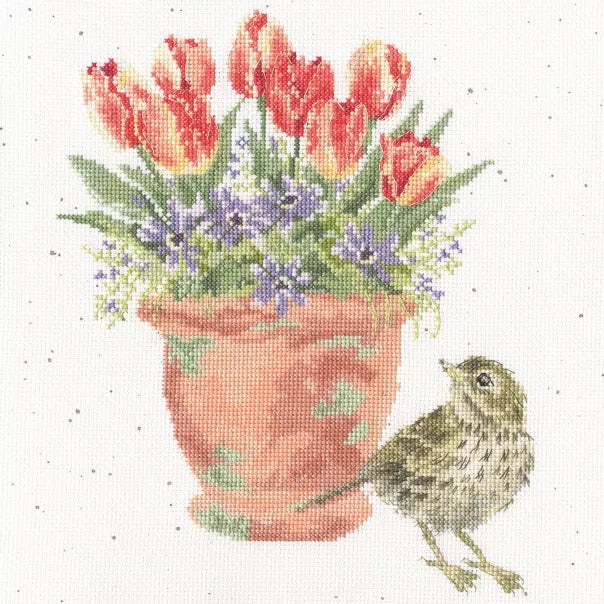 The Meadow Pipit-XHD156