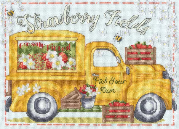 Strawberry Fields-XKTB25