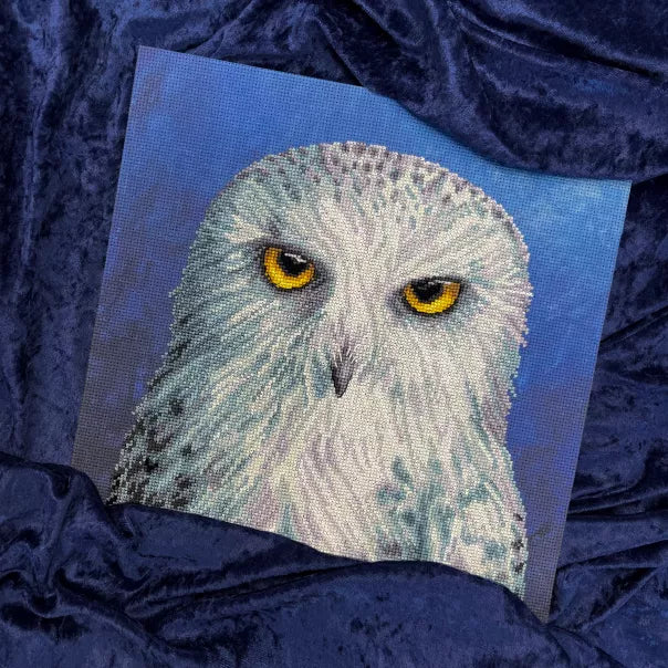 The Menagerie - Wisdom-XRF12