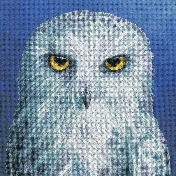 The Menagerie - Wisdom-XRF12