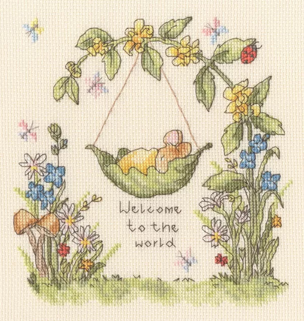 From Little Acorns-XSN1
