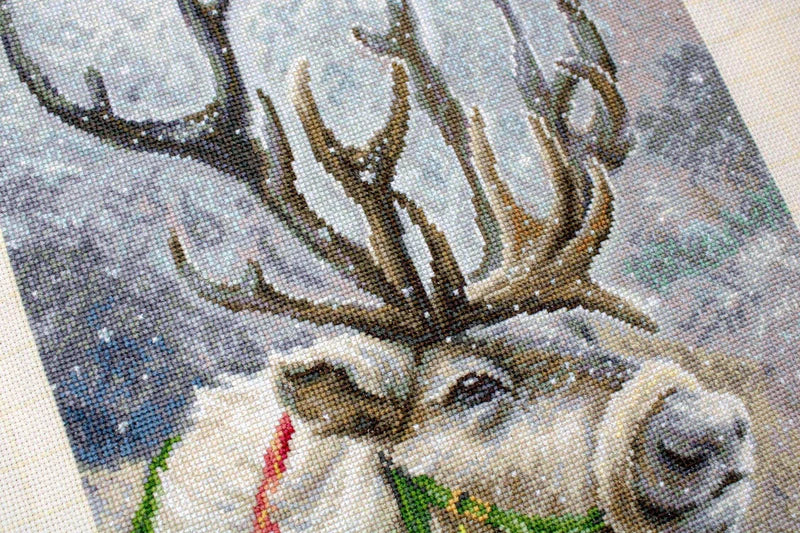 Cross Stitch Kit Luca-S - Christmas Deer, (B598)