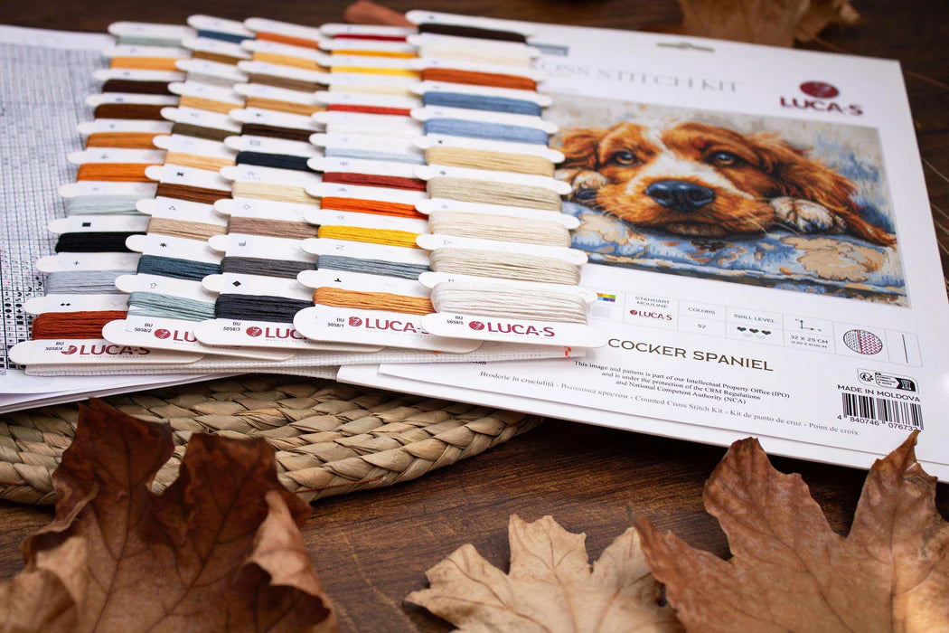 Color swatch book with dog illustration and 'Lucas' branding on a wooden surface with leaves.