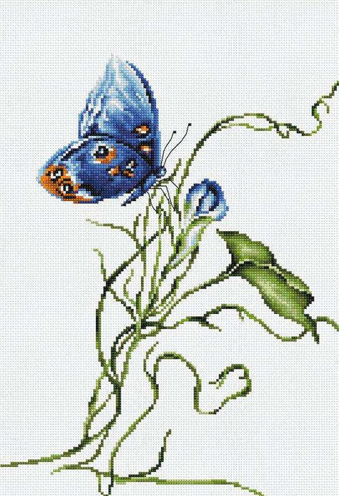 Emotion, B2242-Cross Stitch Kit Luca-S