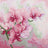 Close-up of pink orchids on a textured fabric background