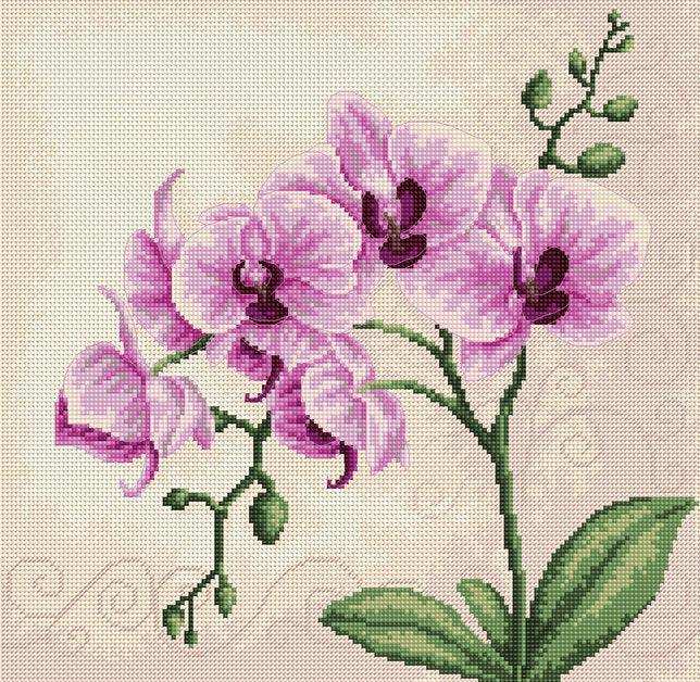 Cross Stitch Kit Luca-S - Orchid, (B2227)