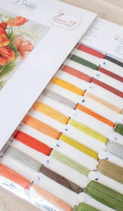 Set of colorful embroidery threads in a box with a brand logo.
