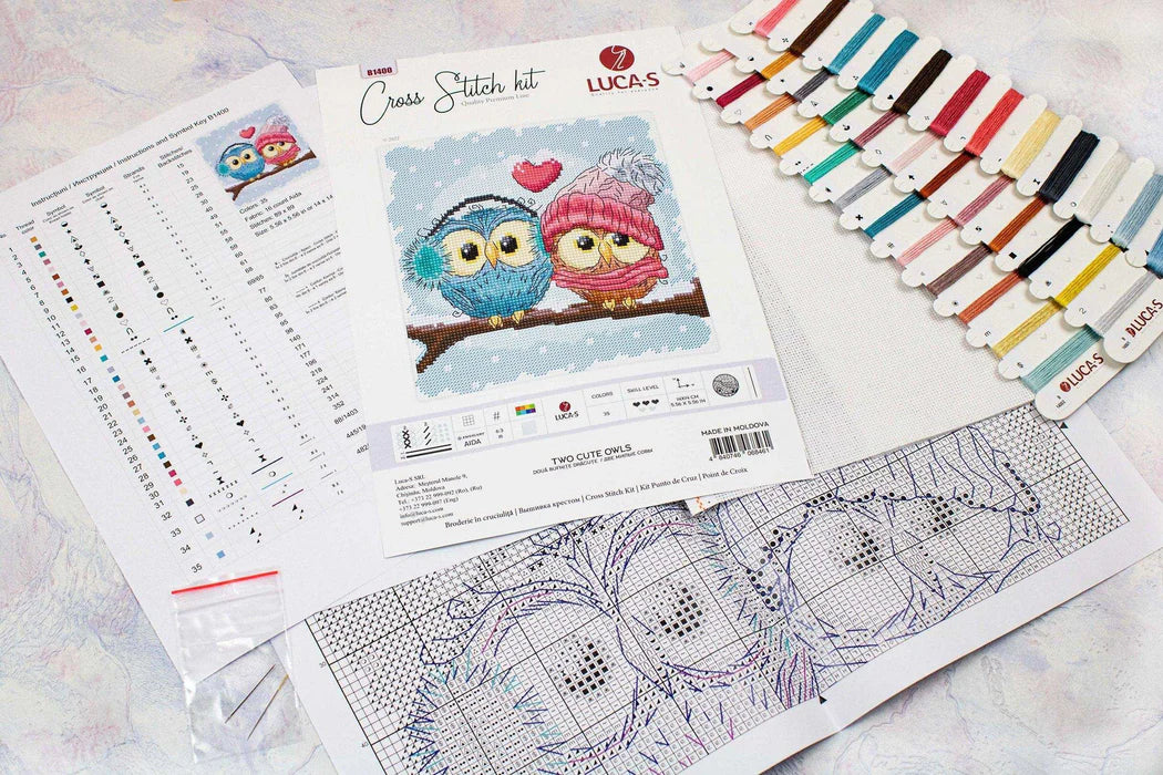 Cross stitch kit with pattern, colors, and instruction sheet on a light surface