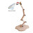 Nurge 190-5 Embroidery Floor Stand – Adjustable Wooden Needlecraft Stand