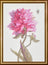 Cross stitch kit - Aine collection "Peonies. Grace" 21x30 cm SRA1008