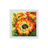 Cross stitch kit Fire Poppies 40x40 cm SR2080