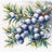 "A sprig of juniper" 20×20 cm S1725 Cross stitch kit