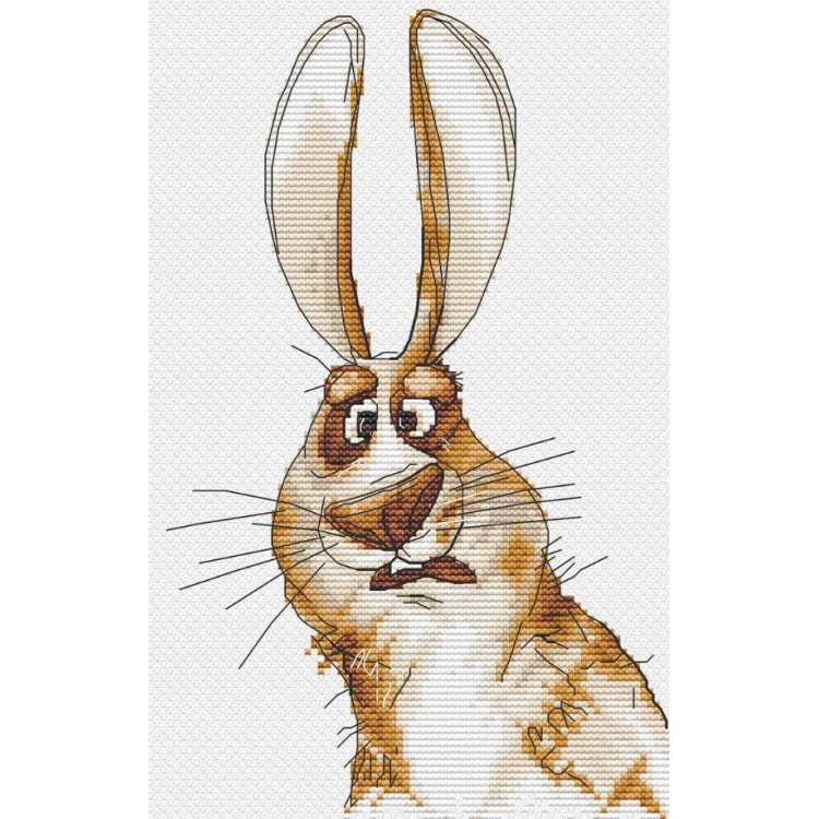 "Emotions. Bewilderment." 18,5 х 18 cm SANE-07 Cross stitch kit
