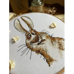 "Emotions. Bewilderment." 18,5 х 18 cm SANE-07 Cross stitch kit