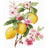 Cross stitch kit "Lemons" 19 х 23 cm SANL-28