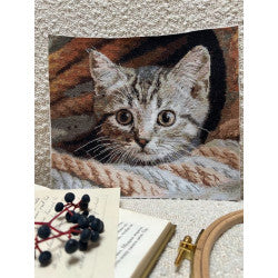Cross stitch kit "Spy" 25,5 х 23 cm SANU-10