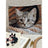 Cross stitch kit "Spy" 25,5 х 23 cm SANU-10