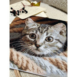 Cross stitch kit "Spy" 25,5 х 23 cm SANU-10