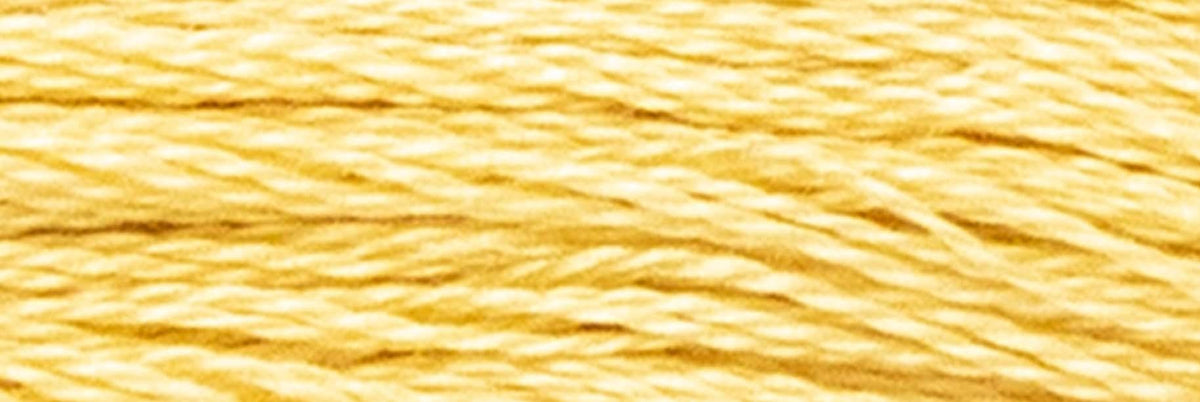 Stranded Cotton Luca-S - 339 / DMC 676 / Anchor 891 - Luca-S Stranded Cotton