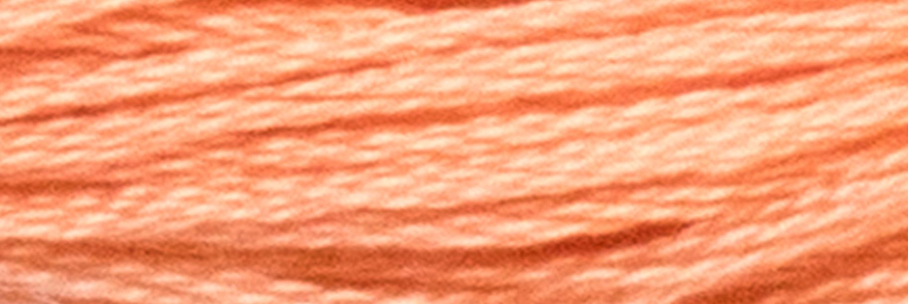 Stranded Cotton Luca-S - 385 / DMC 3341 / Anchor 328 - Luca-S Stranded Cotton