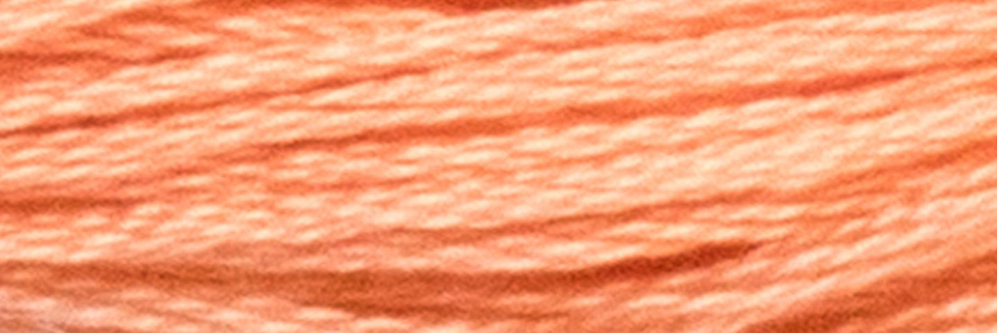 Stranded Cotton Luca-S - 385 / DMC 3341 / Anchor 328 - Luca-S Stranded Cotton